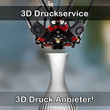 3D Druckservice in Laufach
