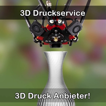 3D Druckservice in Lauingen (Donau)