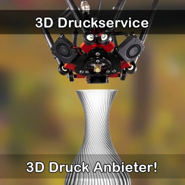 3D Druckservice in Leck