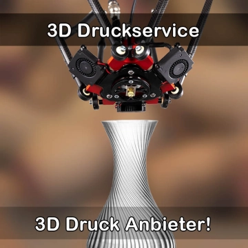 3D Druckservice in Lenzkirch