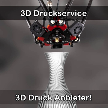 3D Druckservice in Lich