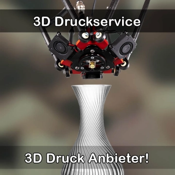 3D Druckservice in Lichtenau (Baden)