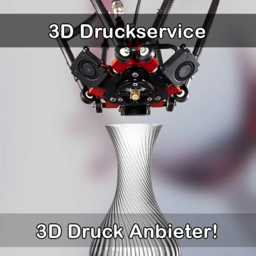 3D Druckservice in Lichtenau (Mittelfranken)