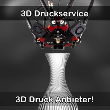 3D Druckservice in Limburgerhof