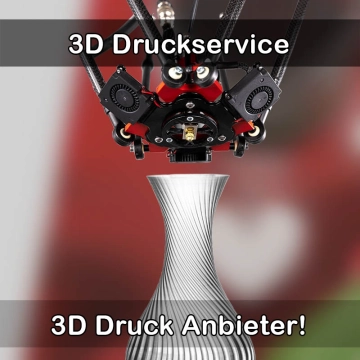3D Druckservice in Lingenfeld