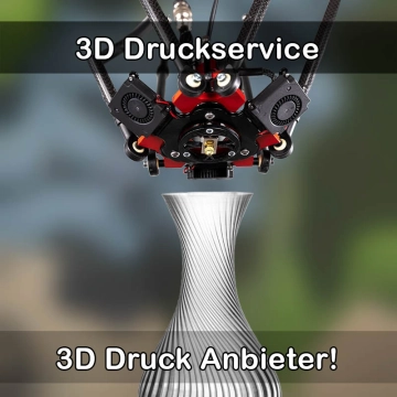 3D Druckservice in Lustadt