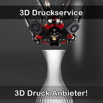 3D Druckservice in Marne