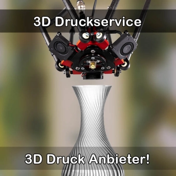 3D Druckservice in Maselheim