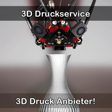 3D Druckservice in Meine