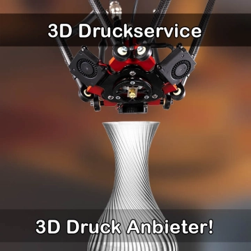 3D Druckservice in Merenberg