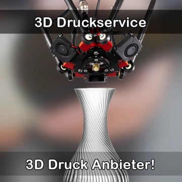 3D Druckservice in Mietingen