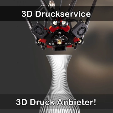 3D Druckservice in Mildstedt