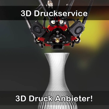 3D Druckservice in Mittelangeln