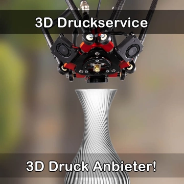 3D Druckservice in Molfsee