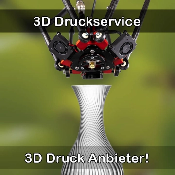3D Druckservice in Mommenheim