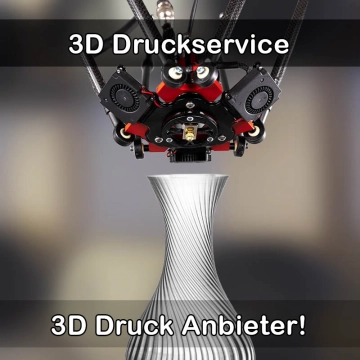 3D Druckservice in Moos (Bodensee)