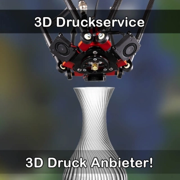 3D Druckservice in Müden (Aller)