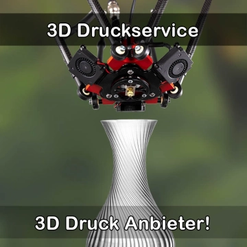 3D Druckservice in Murg
