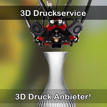 3D Druckservice in Nackenheim