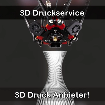 3D Druckservice in Namborn