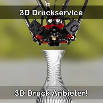 3D Druckservice in Nassau