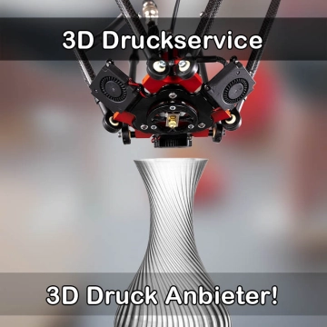 3D Druckservice in Neuendettelsau