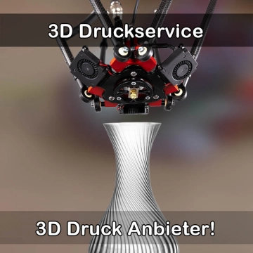 3D Druckservice in Neuenhaus
