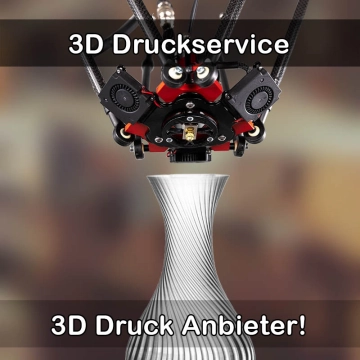 3D Druckservice in Neuhaus am Rennweg