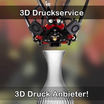3D Druckservice in Neumünster
