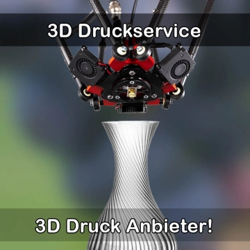 3D Druckservice in Nienstädt