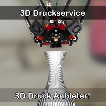 3D Druckservice in Oberlungwitz