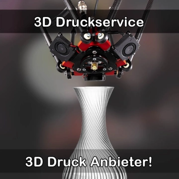 3D Druckservice in Oberriexingen