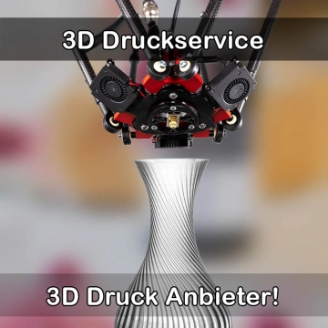 3D Druckservice in Ochtendung