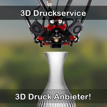 3D Druckservice in Offenbach an der Queich