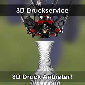 3D Druckservice in Ohlsbach