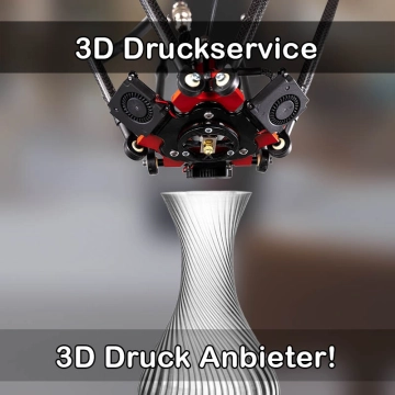3D Druckservice in Oldenburg in Holstein