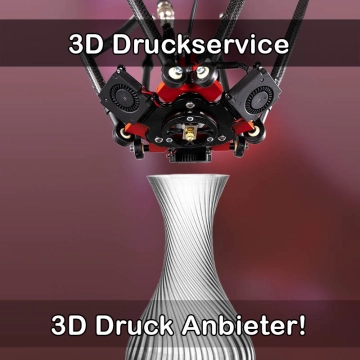 3D Druckservice in Ostrau