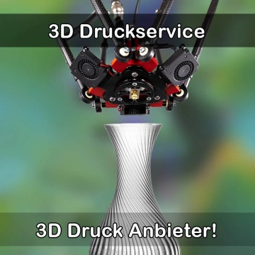 3D Druckservice in Oststeinbek