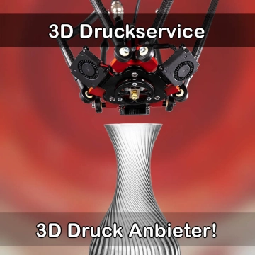 3D Druckservice in Owschlag