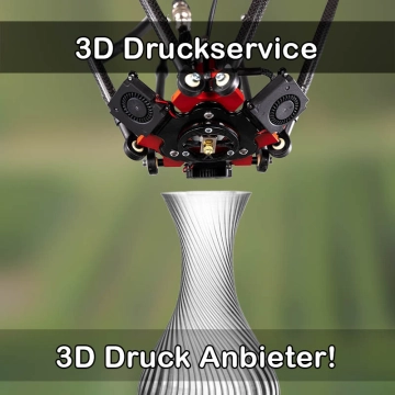 3D Druckservice in Petersaurach