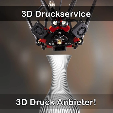 3D Druckservice in Pfatter