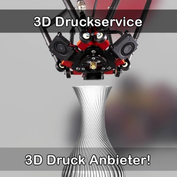 3D Druckservice in Plate