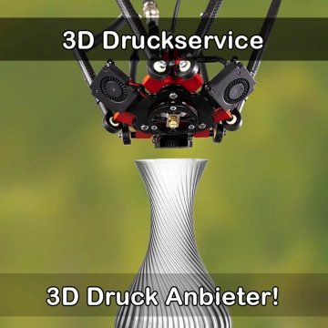 3D Druckservice in Pliezhausen