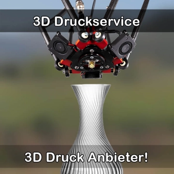 3D Druckservice in Preetz