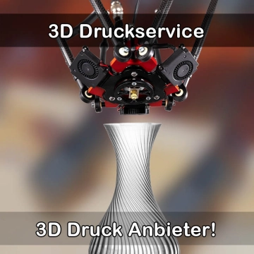 3D Druckservice in Priestewitz