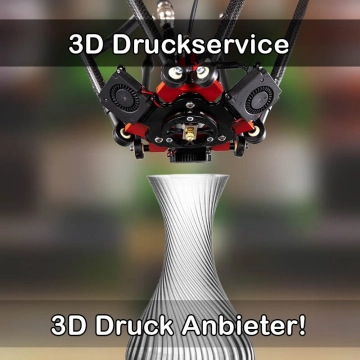 3D Druckservice in Radolfzell am Bodensee