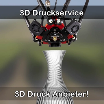 3D Druckservice in Rain (Lech)