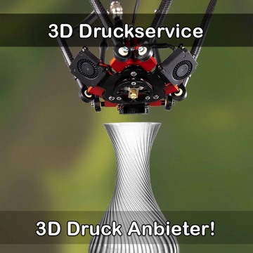 3D Druckservice in Rainau