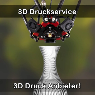 3D Druckservice in Rangendingen