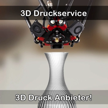 3D Druckservice in Ranstadt